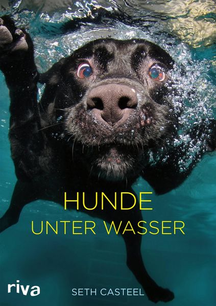 Produktbild: Hunde unter Wasser