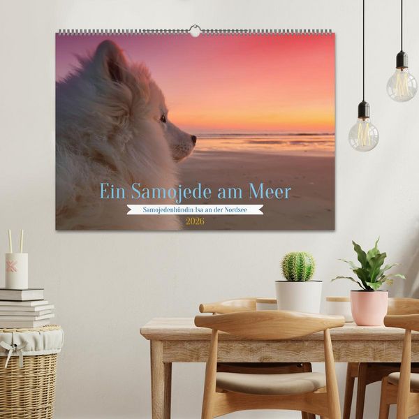 Produktbild: Ein Samojede am Meer (Wandkalender 2026 DIN A2 quer), CALVENDO Monatskalender