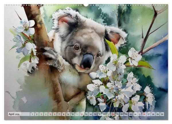 Produktbild: Koalas, liebenswerte kleine Schlafm&uuml;tzen (hochwertiger Premium Wandkalender 2026 DIN A2 quer), Kunstdruck in Hochglanz