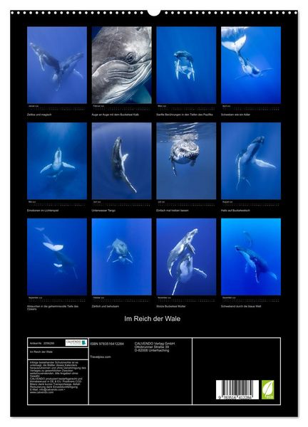 Produktbild: Im Reich der Wale (hochwertiger Premium Wandkalender 2026 DIN A2 hoch), Kunstdruck in Hochglanz