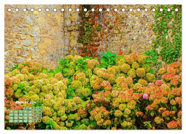 Produktbild: Ein Hortensientraum (Tischkalender 2026 DIN A5 quer), CALVENDO Monatskalender