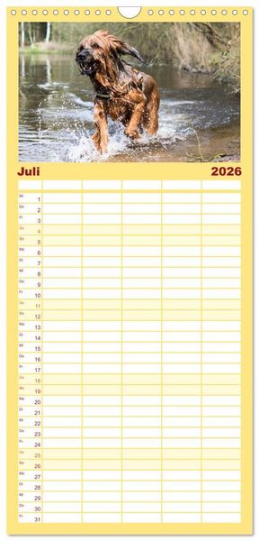 Produktbild: Familienplaner 2026 - Der Briard - Ein echter Charmeur mit 5 Spalten (Wandkalender, 21 x 45 cm) CALVENDO