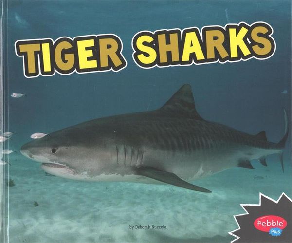 Produktbild: Nuzzolo, D: Tiger Sharks