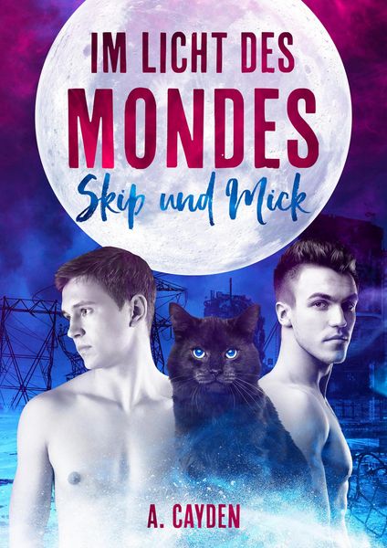 Produktbild: Im Licht des Mondes