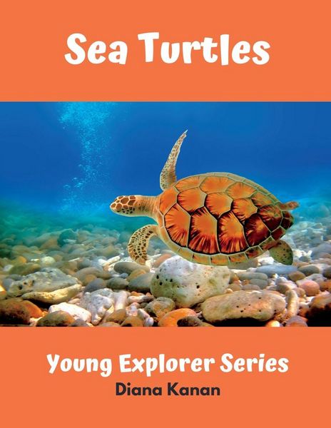 Produktbild: Sea Turtles