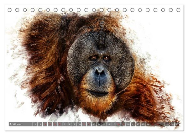 Produktbild: Tierportraits - Fine Art (Tischkalender 2026 DIN A5 quer), CALVENDO Monatskalender