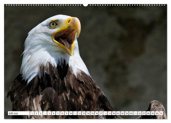 Produktbild: Alaska - Lockruf der Wildnis (hochwertiger Premium Wandkalender 2026 DIN A2 quer), Kunstdruck in Hochglanz