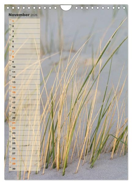 Produktbild: Zwischen D&uuml;nen und Watt / Geburtstagskalender (Wandkalender 2026 DIN A4 hoch), CALVENDO Monatskalender