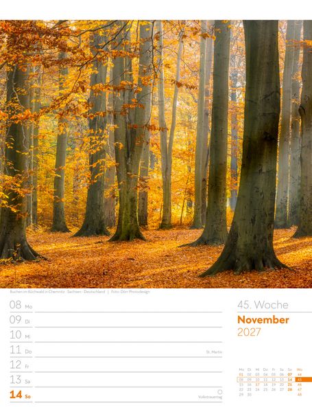 Produktbild: Unser Wald Wochenplaner Kalender 2027