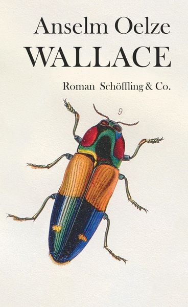 Produktbild: Wallace