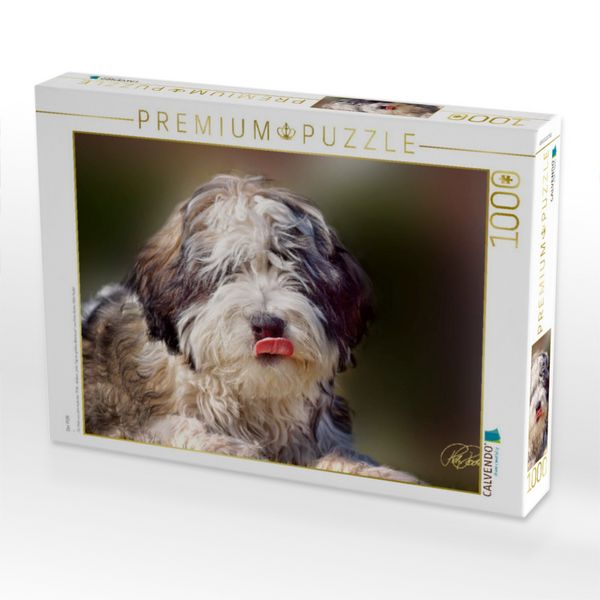Produktbild: CALVENDO Puzzle Der PON | 1000 Teile Lege-Gr&ouml;&szlig;e 64x48cm Foto-Puzzle f&uuml;r gl&uuml;ckliche Stunden