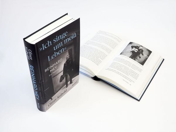 Produktbild: "Ich singe um mein Leben". Reinhard Mey &ndash; ein Portr&auml;t