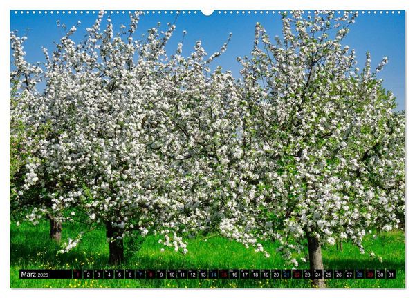 Produktbild: Weinstadt Str&uuml;mpfelbach (Wandkalender 2026 DIN A2 quer), CALVENDO Monatskalender