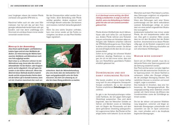 Produktbild: Stresspunktmassage nach Jack Meagher