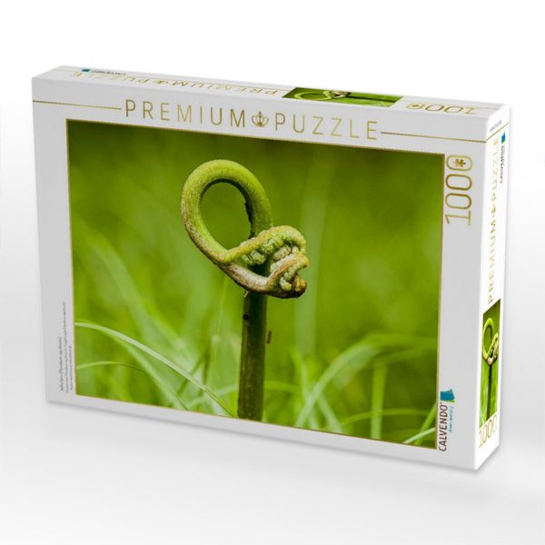 Produktbild: CALVENDO Puzzle Adlerfarn (Pteridium aquilinum) | 1000 Teile Lege-Gr&ouml;&szlig;e 64x48cm Foto-Puzzle f&uuml;r gl&uuml;ckliche Stunden