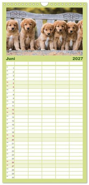 Produktbild: Familienplaner 2027 - Toller - Nova Scotia Duck Tolling Retriever mit 5 Spalten (Wandkalender, 21 x 45 cm) CALVENDO