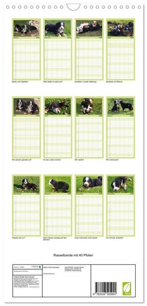Produktbild: Familienplaner 2026 - Rasselbande mit 40 Pfoten mit 5 Spalten (Wandkalender, 21 x 45 cm) CALVENDO