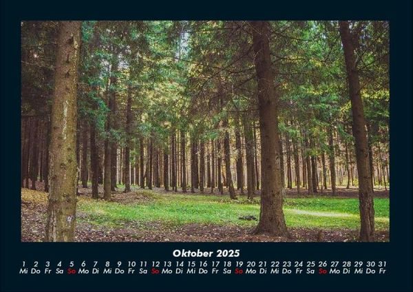Produktbild: B&auml;ume 2025 Fotokalender DIN A4