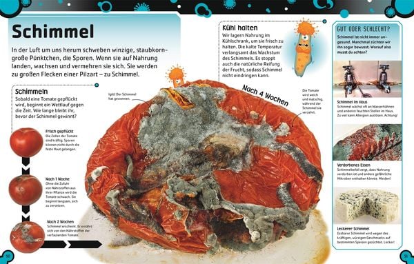 Produktbild: Superstark & Superschlau. Bakterien und Viren