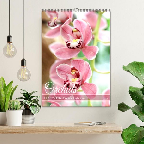 Produktbild: Orchids - Infinite Variety (Wall Calendar 2026 DIN A2 portrait), CALVENDO 12 Month Wall Calendar