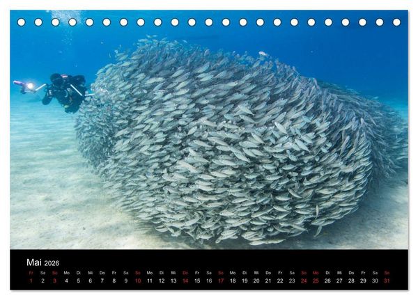 Produktbild: Tanz der Fische (Tischkalender 2026 DIN A5 quer), CALVENDO Monatskalender