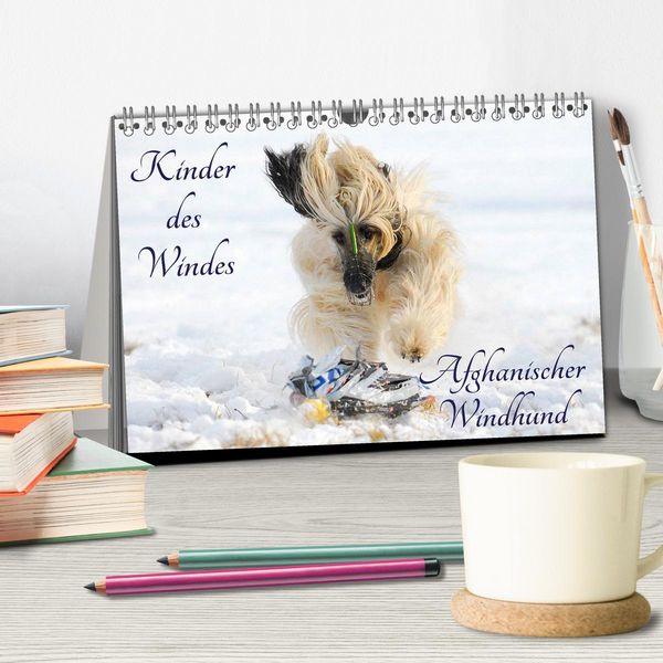 Produktbild: Kinder des Windes - Afghanischer Windhund (Tischkalender 2026 DIN A5 quer), CALVENDO Monatskalender