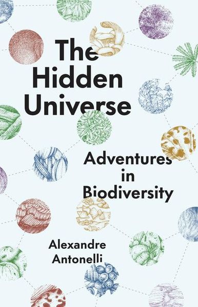 Produktbild: The Hidden Universe