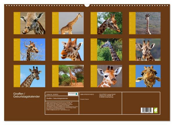 Produktbild: Giraffen / Geburtstagskalender (Wandkalender 2026 DIN A2 quer), CALVENDO Monatskalender
