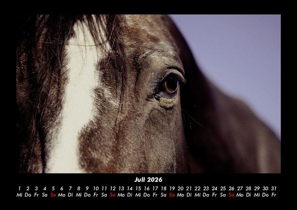 Produktbild: Die Welt der Pferde 2026 Fotokalender DIN A3