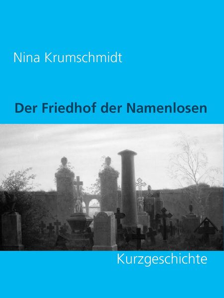 Produktbild: Der Friedhof der Namenlosen