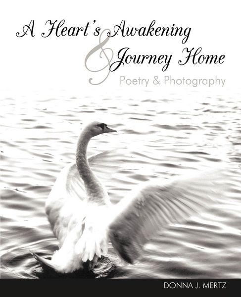Produktbild: A Heart's Awakening & Journey Home