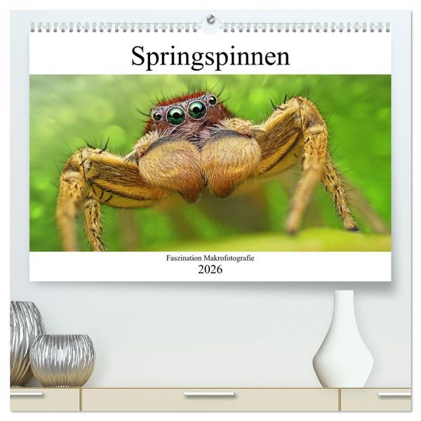 Faszination Makrofotografie: Springspinnen (hochwertiger Premium Wandkalender 2026 DIN A2 quer), Kunstdruck in Hochglanz