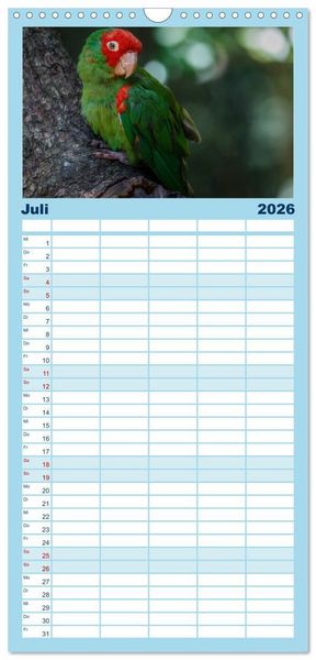 Produktbild: Familienplaner 2026 - Papageien - Frech, sch&ouml;n und schlau mit 5 Spalten (Wandkalender, 21 x 45 cm) CALVENDO