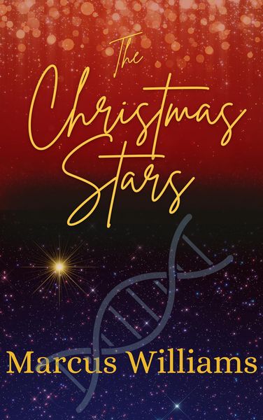 Produktbild: The Christmas Stars