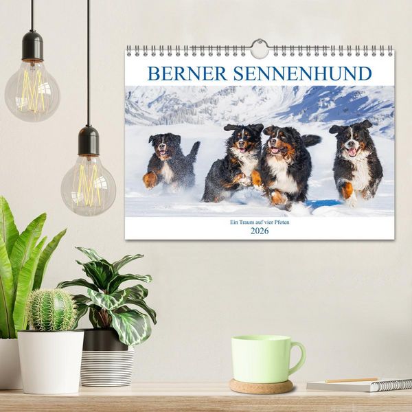 Produktbild: Berner Sennenhund - Ein Traum auf vier Pfoten (Wandkalender 2026 DIN A4 quer), CALVENDO Monatskalender