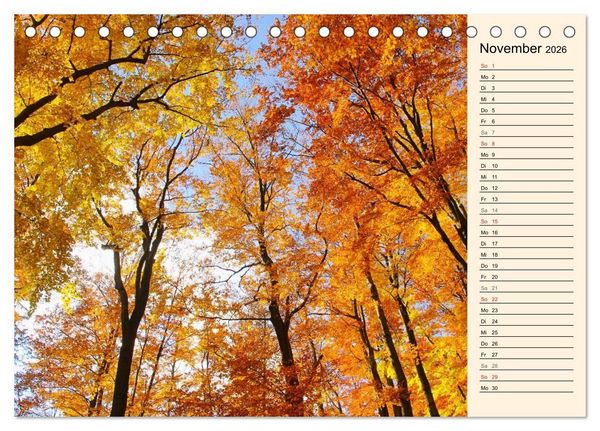 Produktbild: Riesengebirge (Tischkalender 2026 DIN A5 quer), CALVENDO Monatskalender