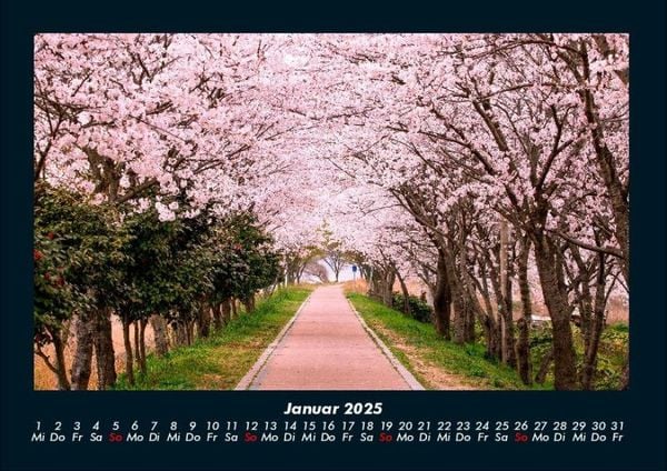 Produktbild: B&auml;ume 2025 Fotokalender DIN A4