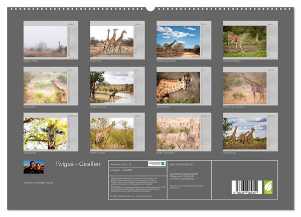 Produktbild: Twigas - Giraffen (hochwertiger Premium Wandkalender 2026 DIN A2 quer), Kunstdruck in Hochglanz