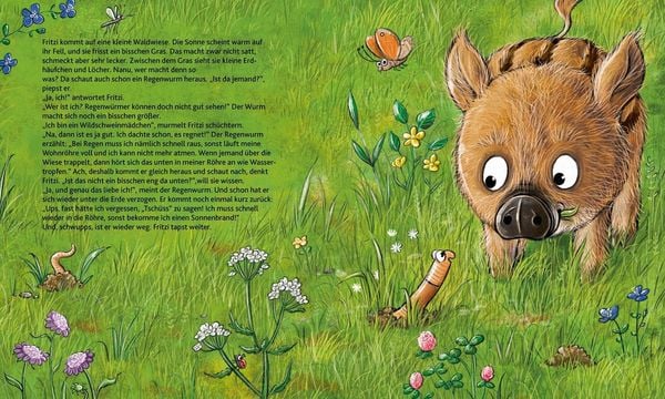 Wie wohnen die Waldtiere?