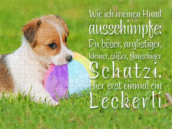 Produktbild: CALVENDO Puzzle Jack Russell Terrier Welpe liegt in der Wiese und knabbert an einem Ball | 2000 Teile Lege-Gr&ouml;&szlig;e 90x67cm Foto-Puzzle f&uuml;r gl&uuml;ckliche Stunden