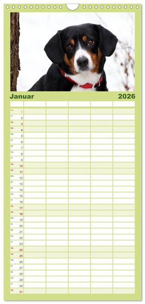 Produktbild: Familienplaner 2026 - Entlebucher Sennenhund - treue Freunde mit 5 Spalten (Wandkalender, 21 x 45 cm) CALVENDO