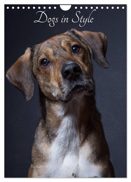 Dogs in Style (Wall Calendar 2026 DIN A4 portrait), CALVENDO 12 Month Wall Calendar