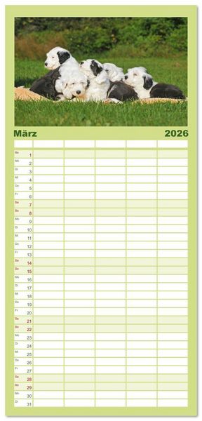 Produktbild: Familienplaner 2026 - In der Kinderstube bei Familie Bobtail mit 5 Spalten (Wandkalender, 21 x 45 cm) CALVENDO