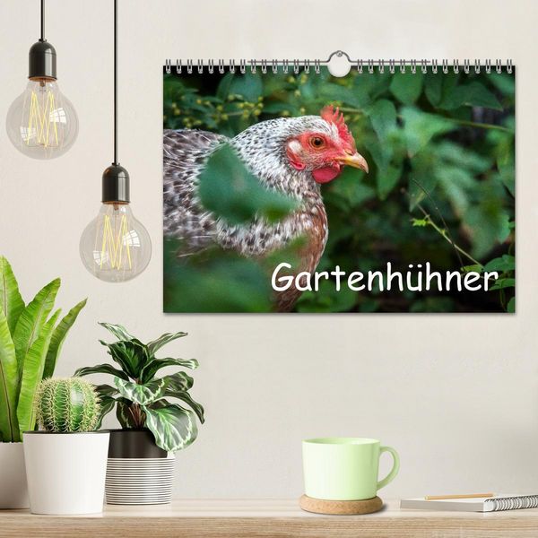 Produktbild: Gartenh&uuml;hner (Wandkalender 2026 DIN A4 quer), CALVENDO Monatskalender
