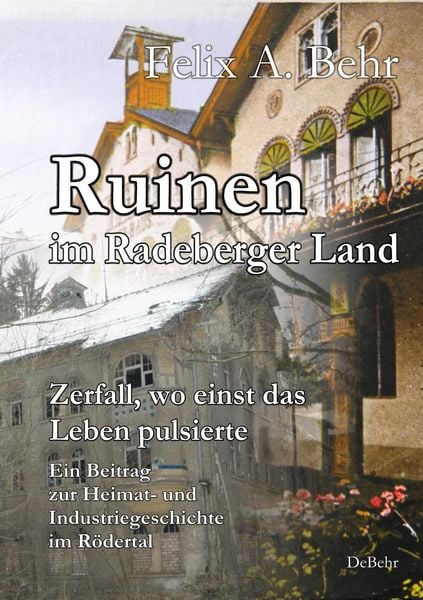 Produktbild: Ruinen im Radeberger Land &ndash; Zerfall, wo einst das Leben pulsierte - Ein Beitrag zur Heimat- und Industriegeschichte im R&ouml;dertal