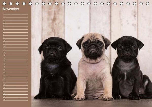 Produktbild: Ein Mops f&uuml;rs Herz (Tischkalender immerw&auml;hrend DIN A5 quer)