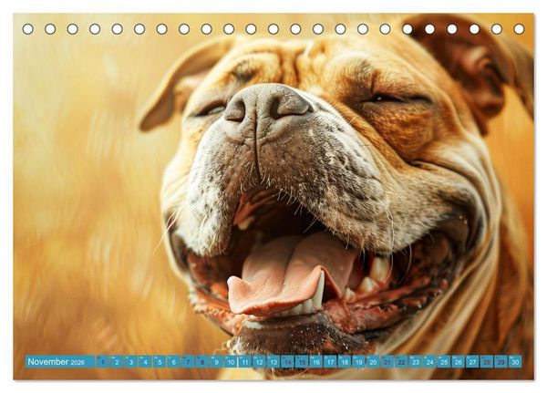 Produktbild: L&auml;chelnde Hunde sind wie Sonnenschein auf vier Pfoten (Tischkalender 2026 DIN A5 quer), CALVENDO Monatskalender