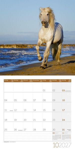 Produktbild: Pferde Kalender 2027 - 30x30 - Art12