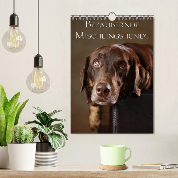 Produktbild: Bezaubernde Mischlingshunde (Wandkalender 2026 DIN A4 hoch), CALVENDO Monatskalender
