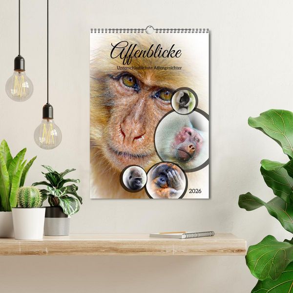 Produktbild: Affenblicke (Wandkalender 2026 DIN A3 hoch), CALVENDO Monatskalender